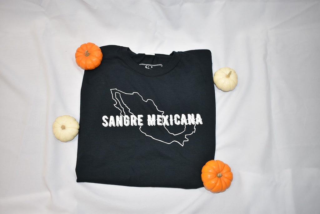 <transcy>Camiseta Sangre Mexicana</transcy>